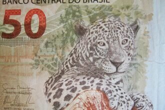brazilian bank note, fifty real note, banknote, dollar bill, brazil, currency, paper money, money, seem, currency of brazil, jaguar, brl, banco central do brasil, cinquenta reais, beige, detail, cutout, brazilian money, brazilian fifty real bill, brazil, brazil, brazil, brazil, brazil, jaguar, jaguar, jaguar, jaguar, brl, brl
