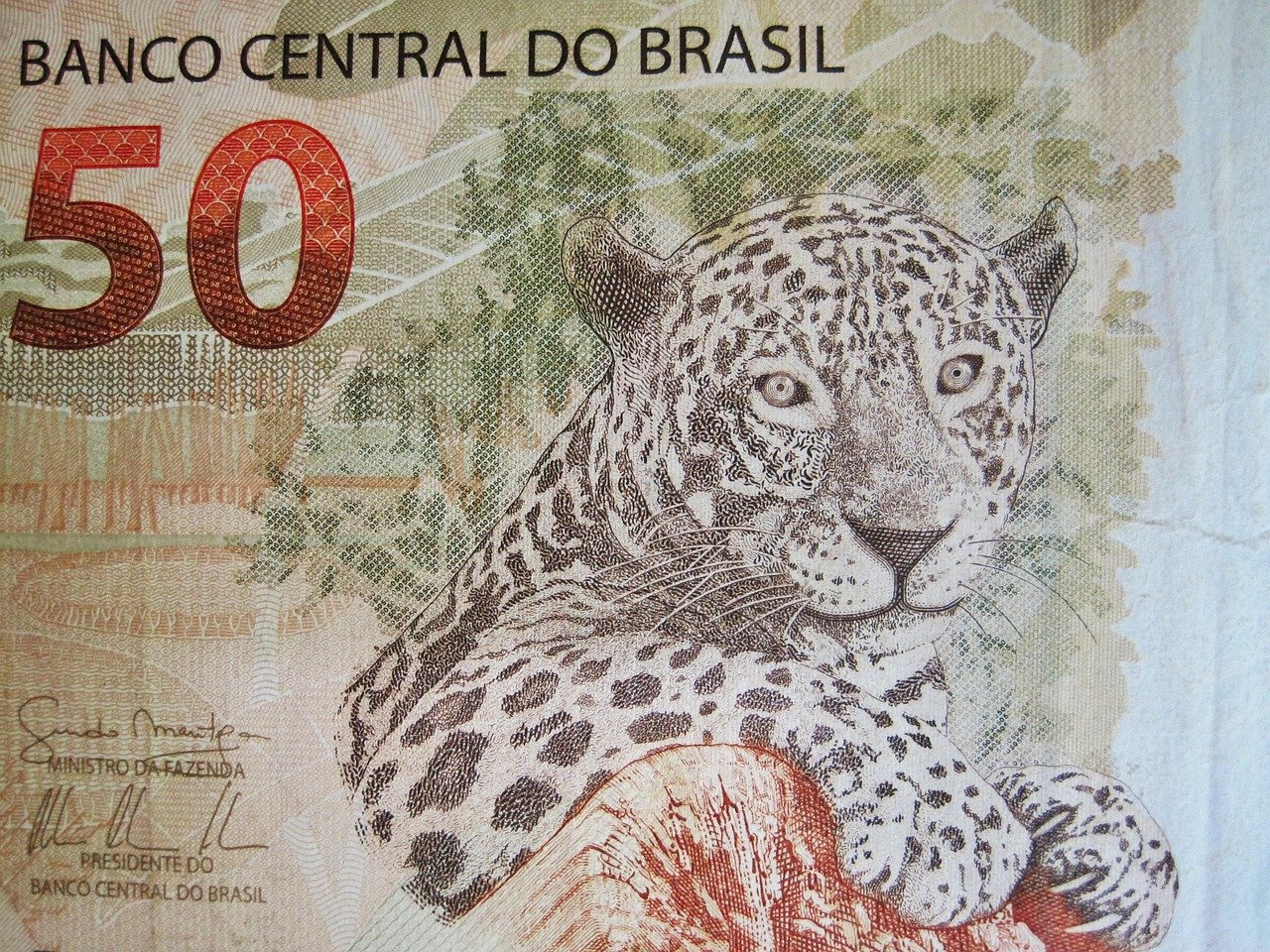 brazilian bank note, fifty real note, banknote, dollar bill, brazil, currency, paper money, money, seem, currency of brazil, jaguar, brl, banco central do brasil, cinquenta reais, beige, detail, cutout, brazilian money, brazilian fifty real bill, brazil, brazil, brazil, brazil, brazil, jaguar, jaguar, jaguar, jaguar, brl, brl