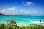 Vibrant beach with turquoise waters and green foliage in Cancun, Mexico, under a clear blue sky.