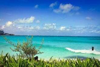 Vibrant beach with turquoise waters and green foliage in Cancun, Mexico, under a clear blue sky.